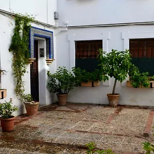 El Patio De La Aljama Appartamento Cordova